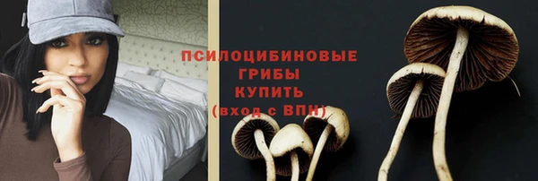 Альфа ПВП Корсаков