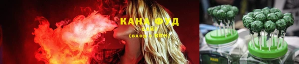 дживик Костерёво