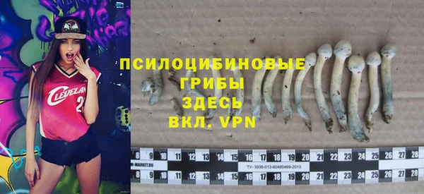 гидра Медвежьегорск