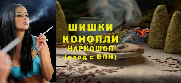 дживик Костерёво
