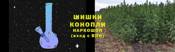 дживик Костерёво