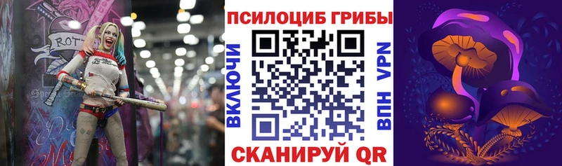 Галлюциногенные грибы Psilocybe сколько стоит Железногорск