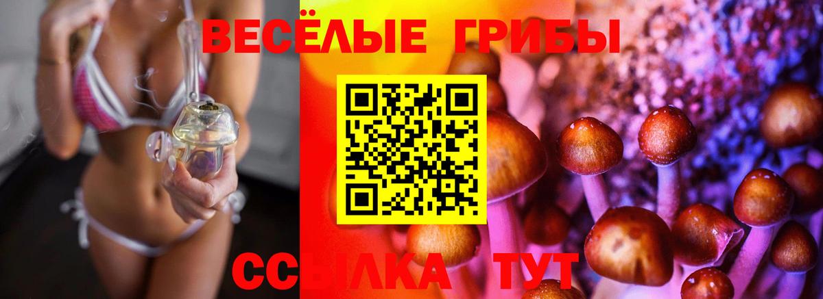 Галлюциногенные грибы ЛСД  Железногорск  купить   Галлюциногенные грибы ЛСД 