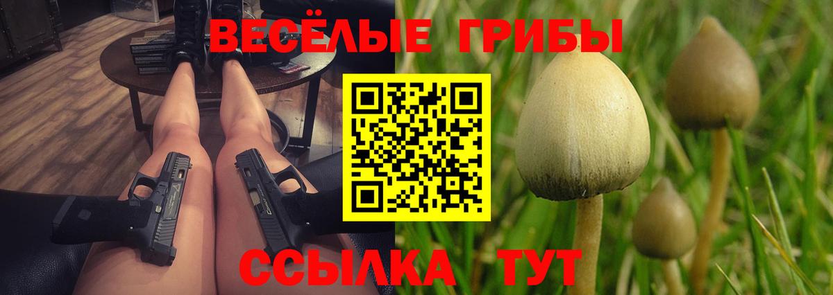 Галлюциногенные грибы мухоморы Железногорск
